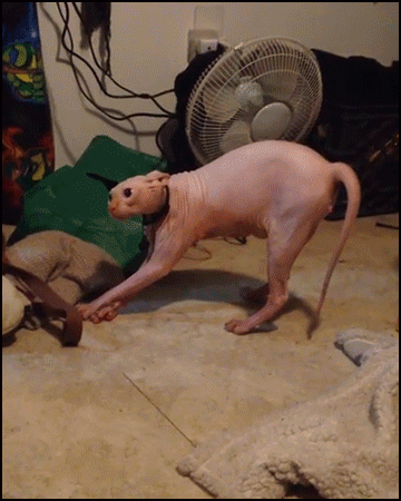 e9bae7af6a759788b059a164125f7ce5