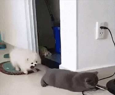 Божественный пофигизм