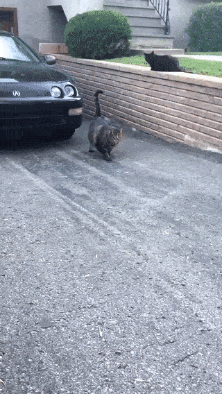 9a6f17a325da57d65cc3564a10c03e32 (1)