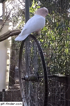 1381b91d570d0ee503b4da96c1b57c88