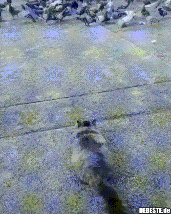 eb6c42515ac73cc6fee7db807b9f7c2f (1)