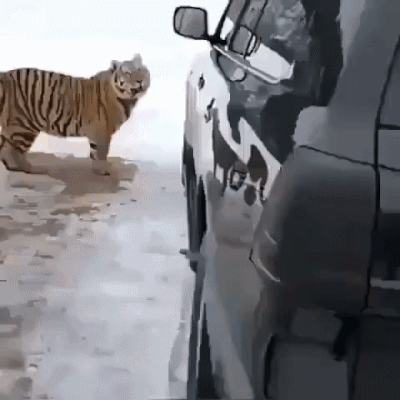 97bd7db56ab2aead939e7d3a0ce29819