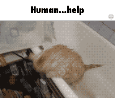 7aced1628e3da2fa4ed8daed3907f29c