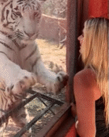 9d9388bbed73200b6eb96f8b7dad984e