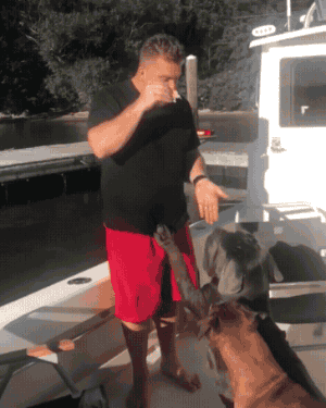 dog_Boat Takedown