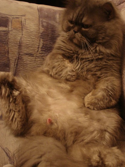 щас трахну!