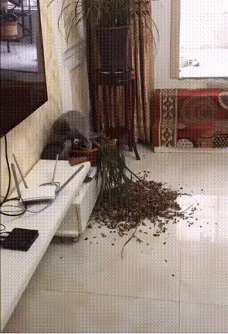 95090a2607906fa3304a1e0b55e425de