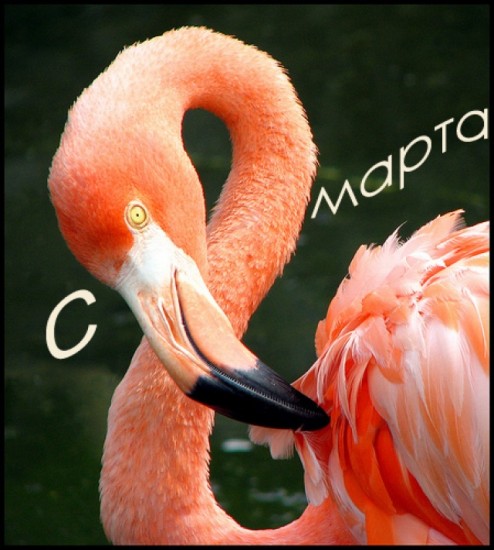 459dcd1c6b5684ef4e144350d772813b_7ee3b32b093c6e9f43a38d6fcf40fe18