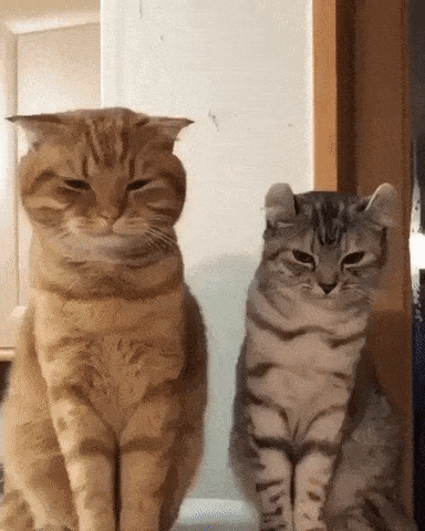 b03e87582f72709c7f58d30004965848