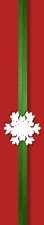 5_5