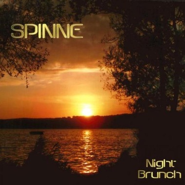 Spinne