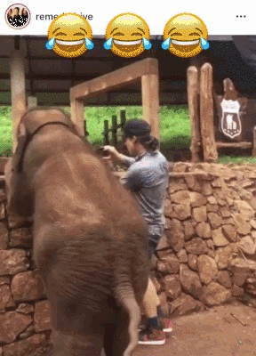 1af07bd51754864338494b77c6cd889e