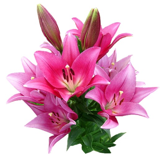 05a754712070cd81169061b20aaa4aa0.jpg_zpsfg7ub2jl