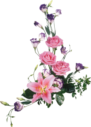 5588881c-e889-4e42-a2e2-a25a33ded86f_zps9ueddrbr