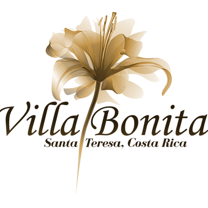 354345_abc42f8594d14c478030447d0f0ea3bc~mv2_d_1800_1500_s_2