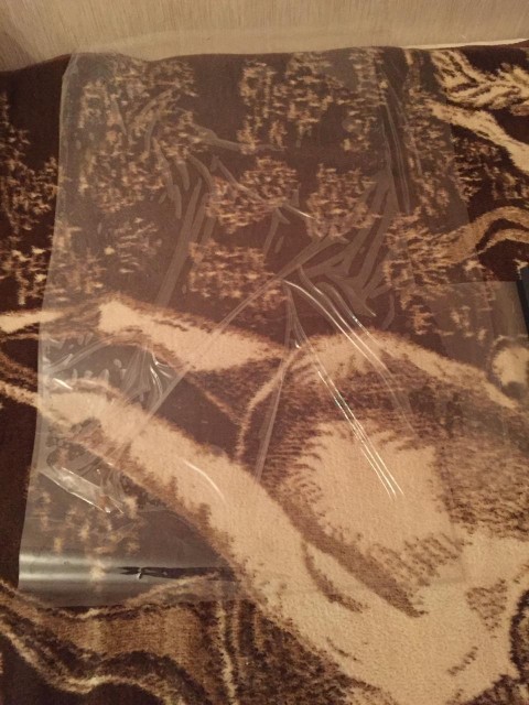 80FE2D3F-DE70-4909-B6DA-3B08BB6F4A10