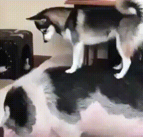 Новый год ещё спит