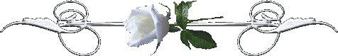 478d0dd99e9b