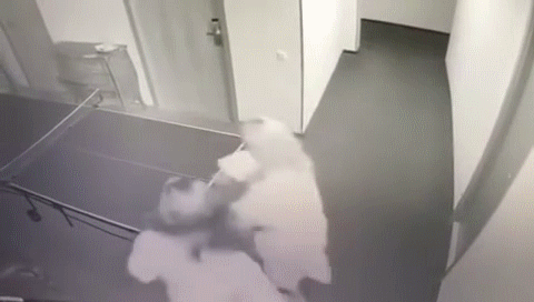 дуры