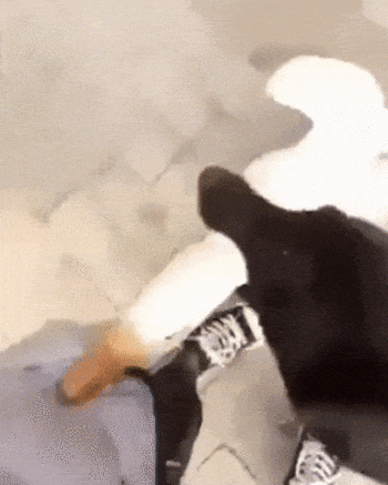 044950c972568b7b1d68cc9afa90b6e3 (1) (2)