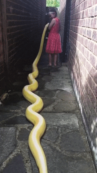 3e874e65b04bab779dde59f4614686bd