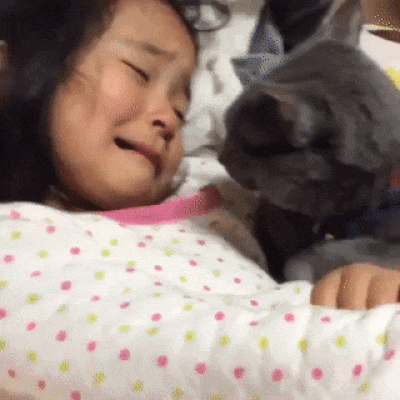 17a27ccedd96feb8515e5cc1d63e25d0 (1)