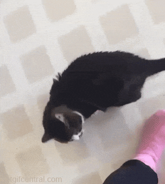 5233e417b2cb13443f9e08827381541c