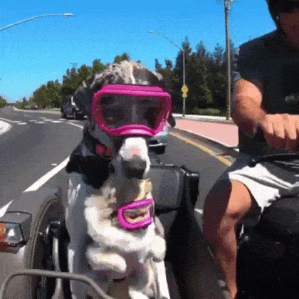gifs_07