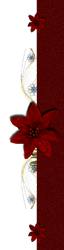 fon3_arnusha