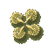 31_5