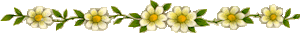 49963334_25035220_24148266_fleur42
