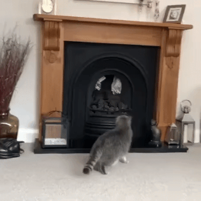 a2eebb0bd96f8edc3cf210de34c39306