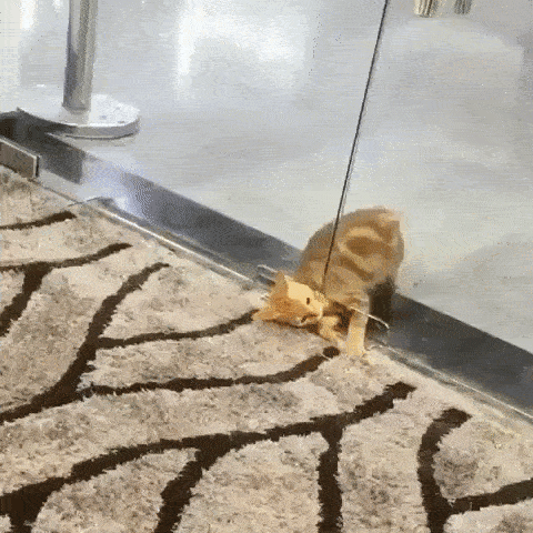 8cb110a9a8693426b29880caf58f112f