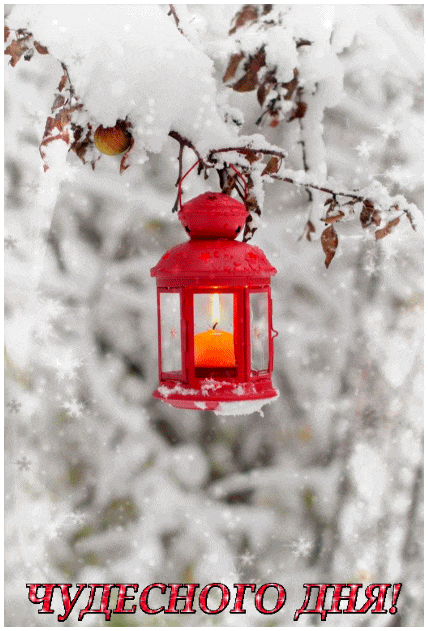 154816927623443802 (1)