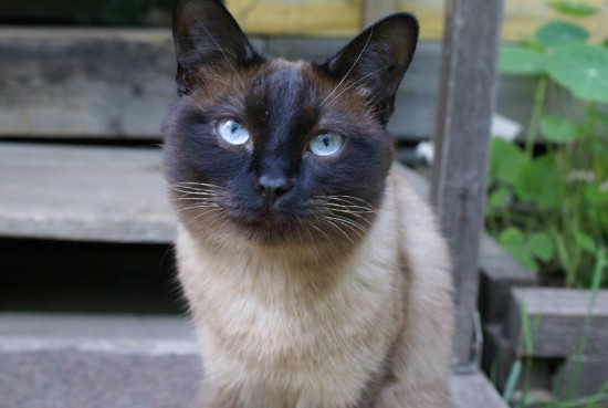 Изображение 040