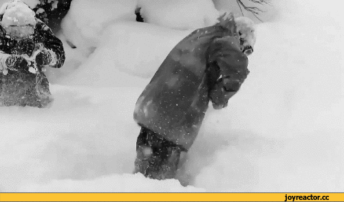 -фэндомы-gif-пухляк-1456510