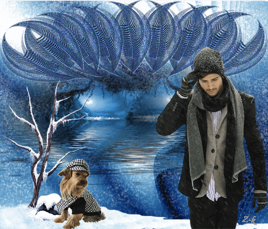 zk-spacer z psem nad zatoka