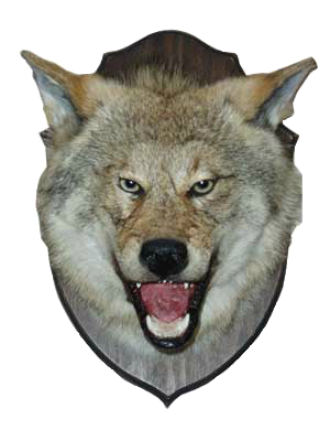 03-12newdengahschasteawihkolichestwe-4