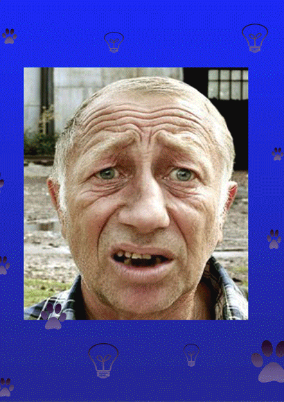 собака-Зверева