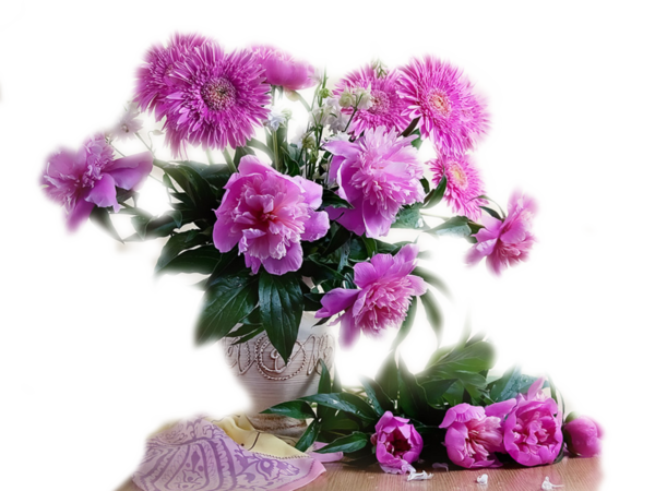 цветы