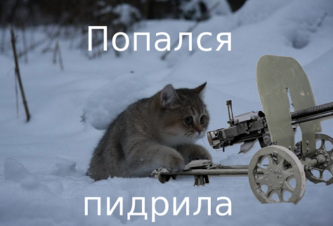 -живность-засада-в-засаде-644875