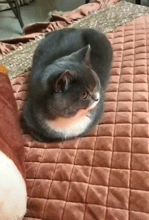 KOTE_1