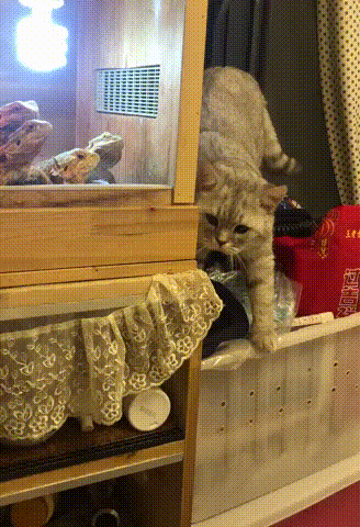 I-just-want-to-shake-hands-hayhogi.vn