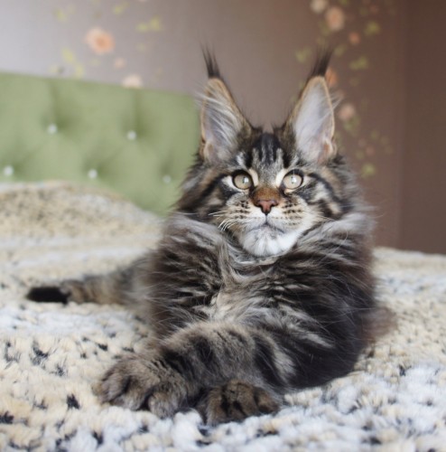 IMG-8e5902c146ec0ba67f58743dd398dc18-V