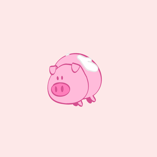 pig