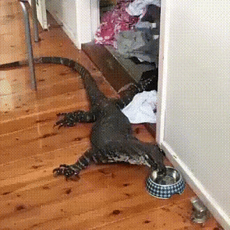 8e10e4510d99d7b5f70b7d3b64fdbae1