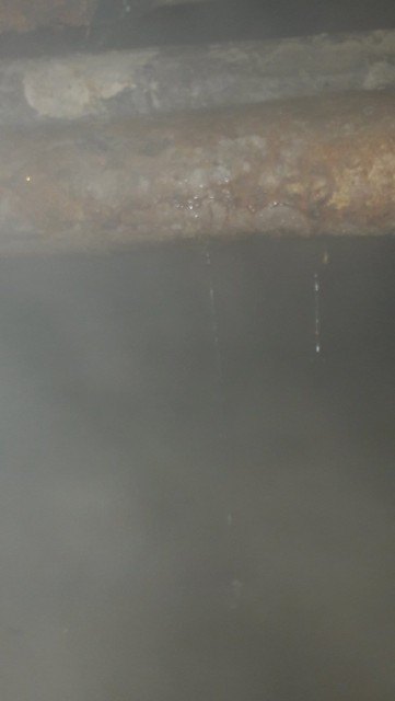 15d