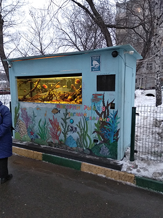 IMG_20190212_165925_1