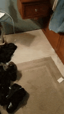 Genialnoe_reshenie_dlya_taynogo_khranenia_oruzhia