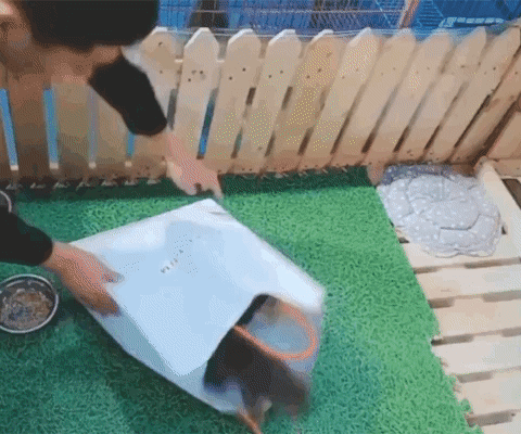 ezgif-3-4fe78fdef049